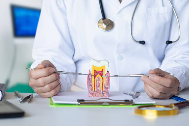 Best Emergency Tooth Extraction in Wabash, IN
